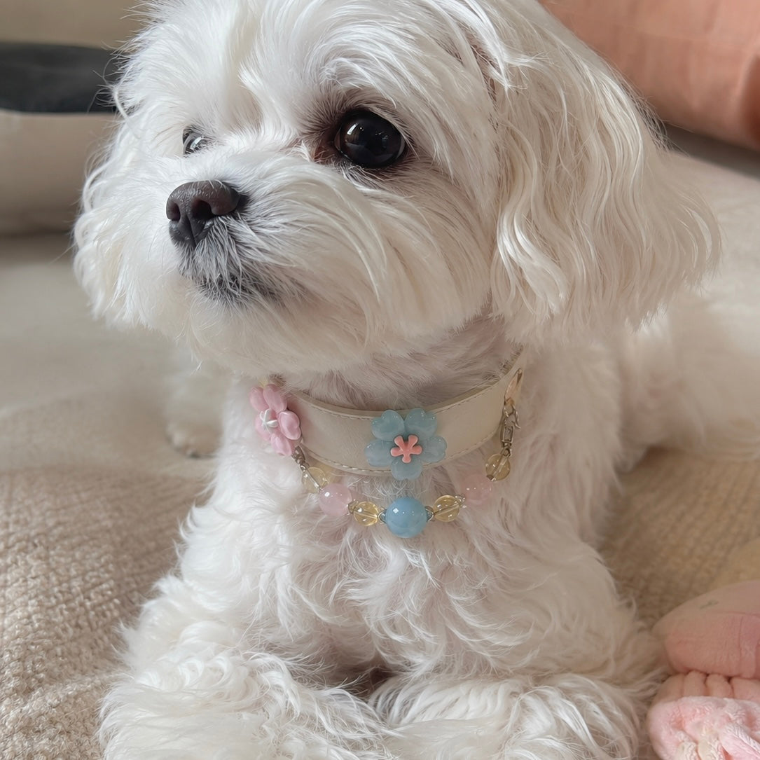 Aquamarine Multicolor Crystal Pet Collar Necklace