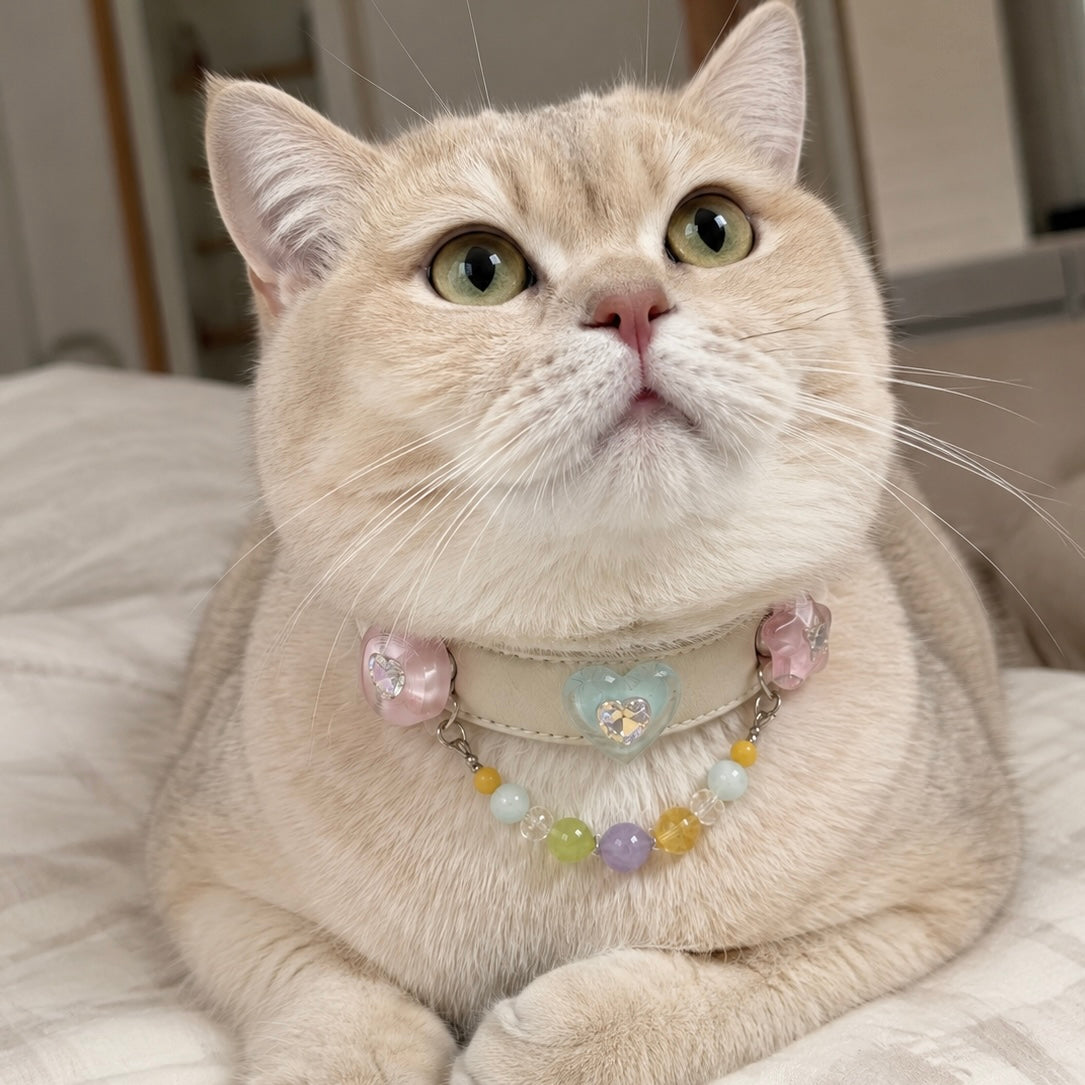 Aquamarine Multicolor Crystal Pet Collar Necklace