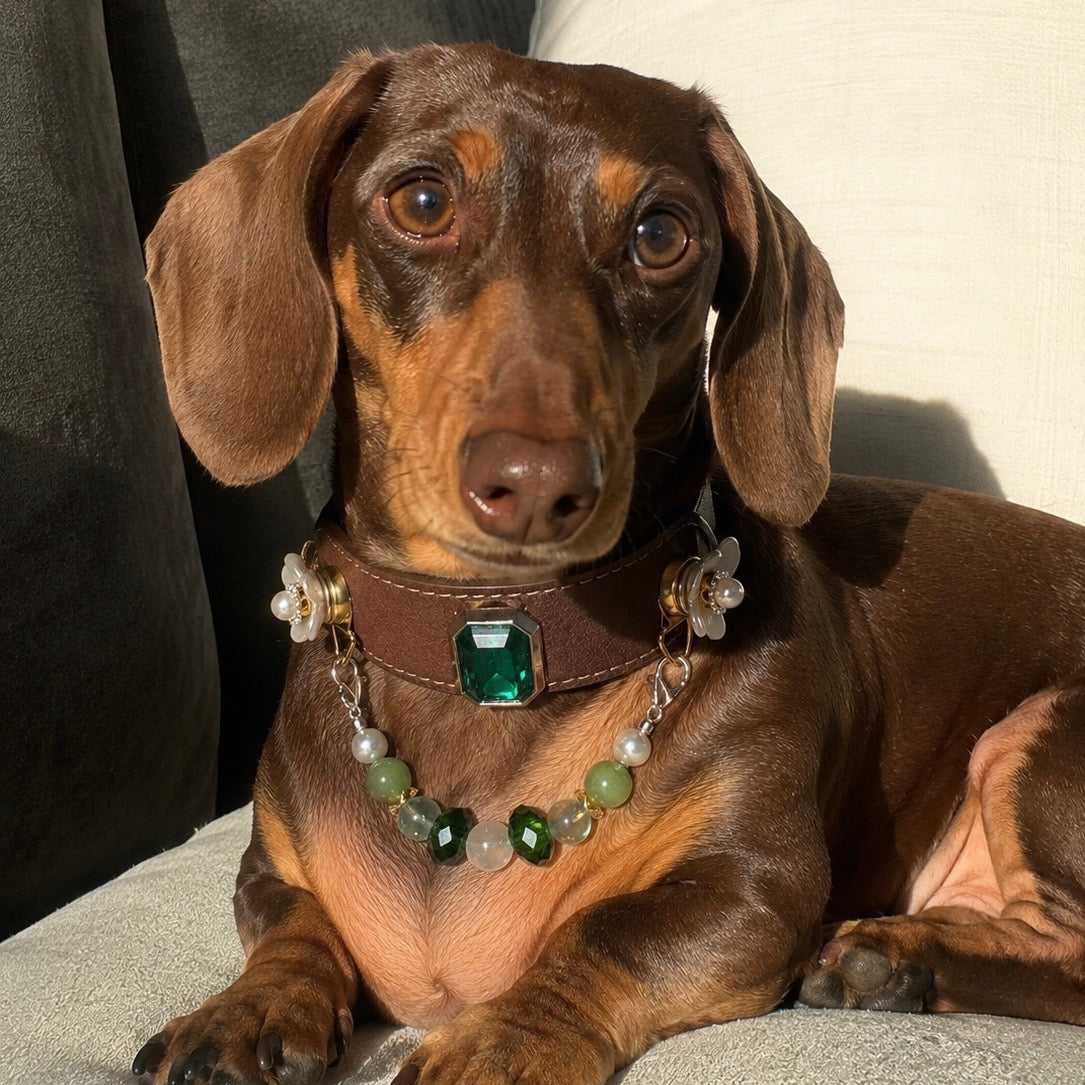 Green Fluorite Crystal Pearl Pet Collar Necklace
