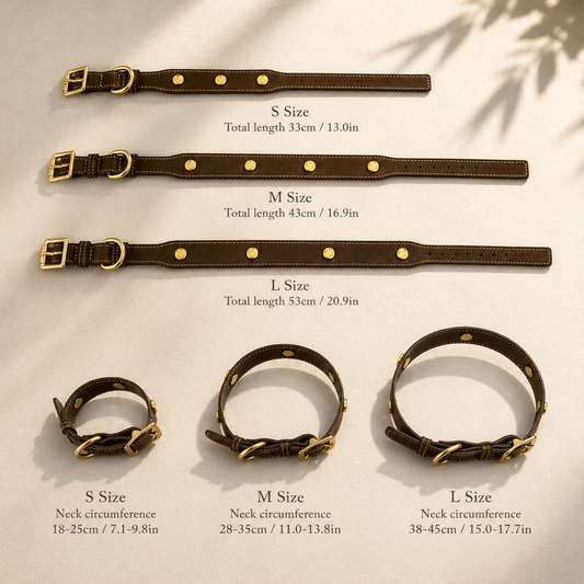 Customizable Leather Pet Collar – Collar Only S/M/L