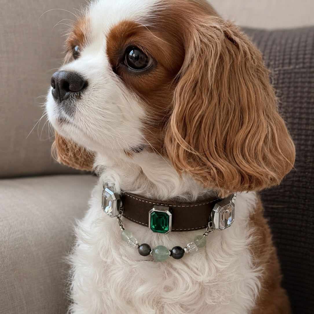 Colorful Magnetic Gemstone Charms for Pet Collars