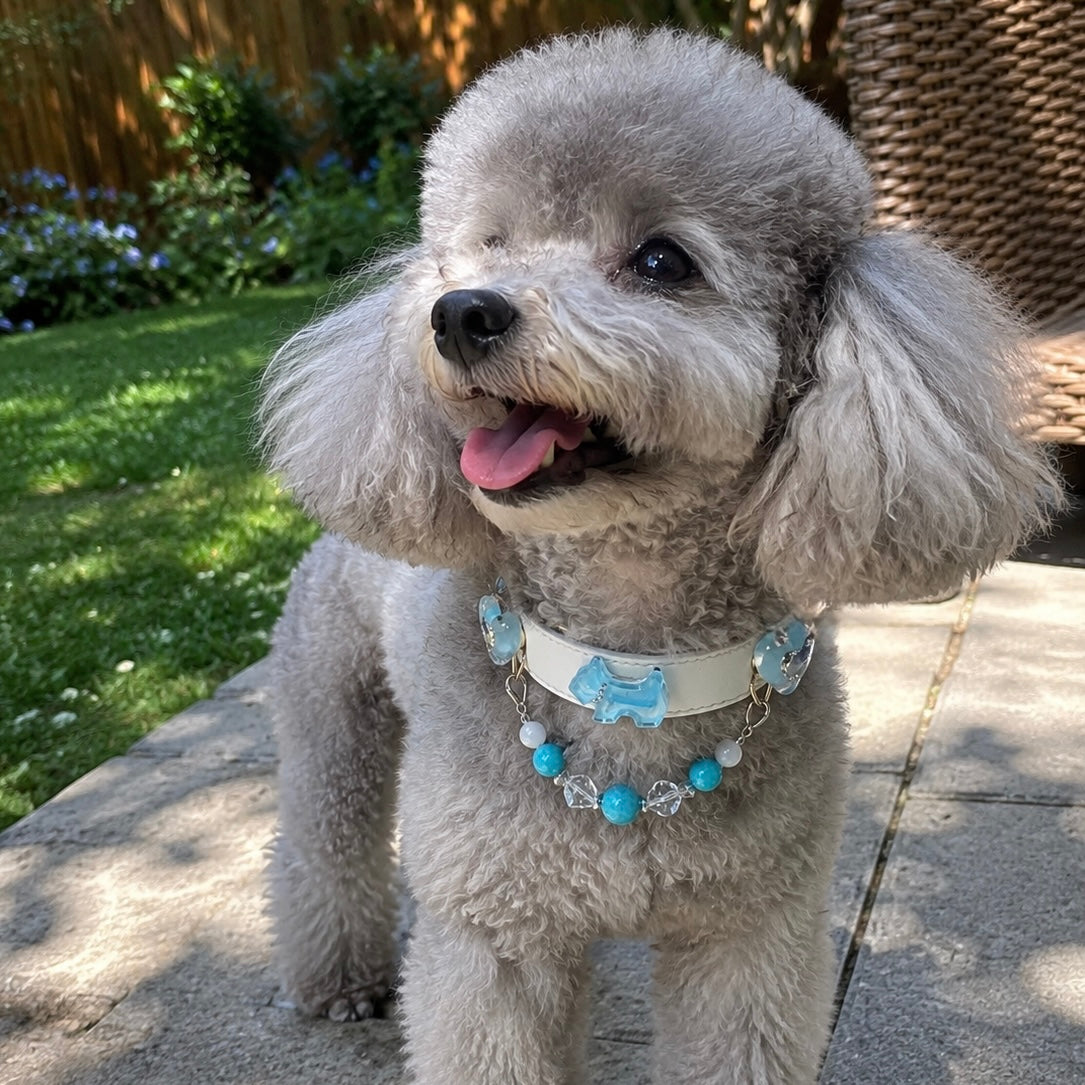 Amazonite Crystal Charm Pet Collar Necklace