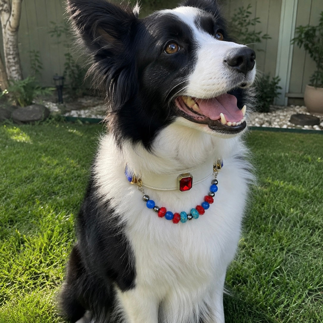 Blue Red Crystal Gemstone Pet Collar Necklace