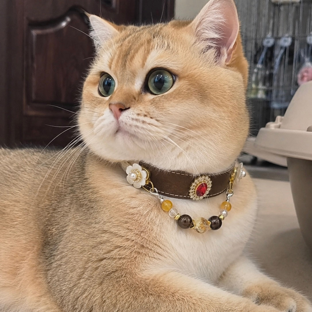 Ruby Crystal Magnetic Pet Charm