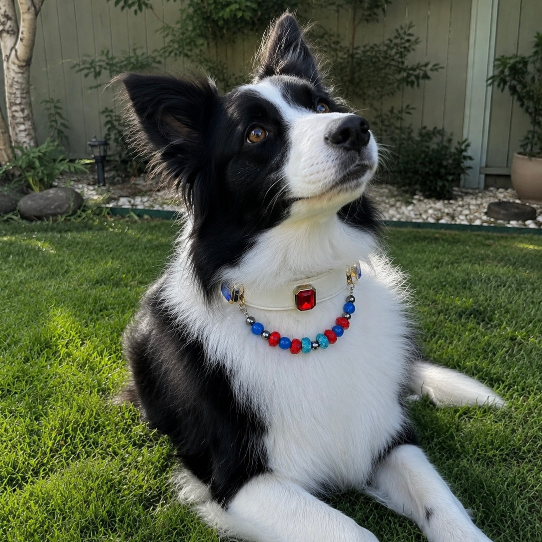 Blue Red Crystal Gemstone Pet Collar Necklace