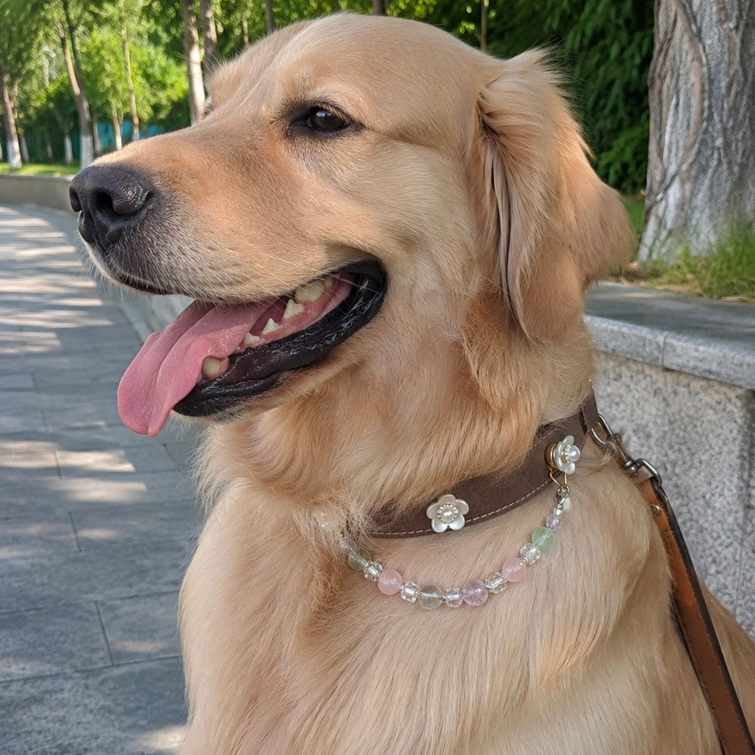 Pink Green Crystal Gemstone Pet Collar Necklace