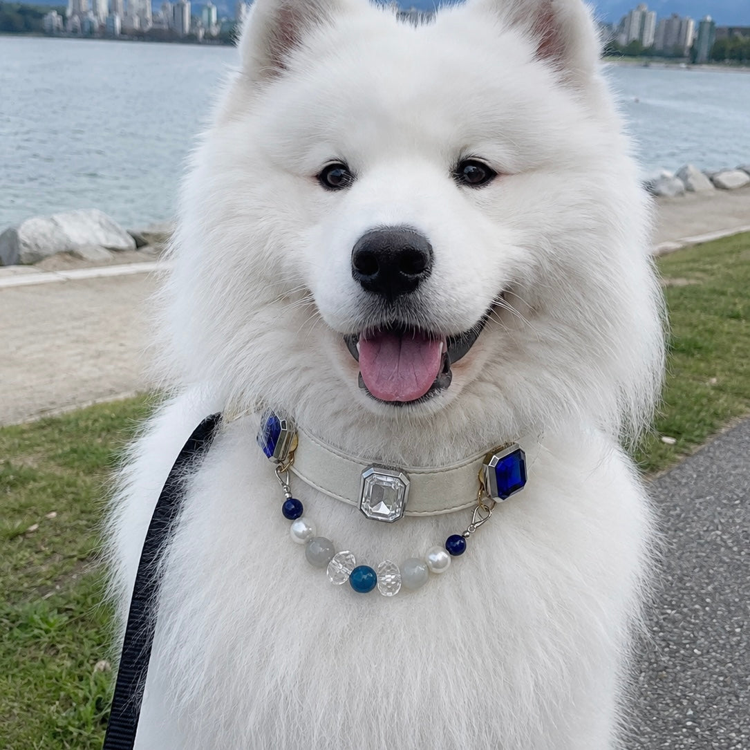 Blue Crystal Pearl Gemstone Pet Collar Necklace