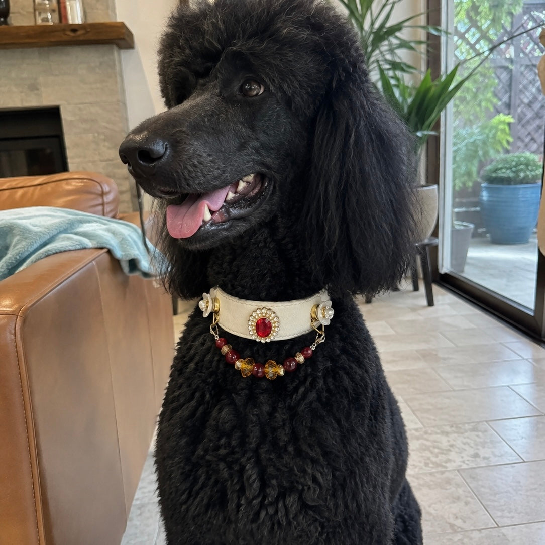 Red Carnelian Crystal Gemstone Pet Collar Necklace