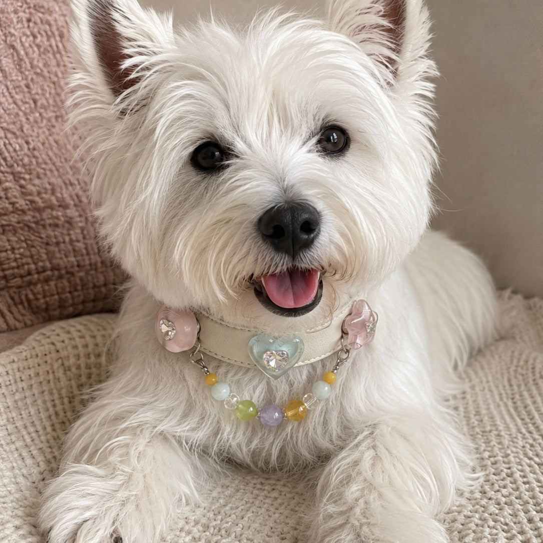Pastel Crystal Magnetic Pet Charms