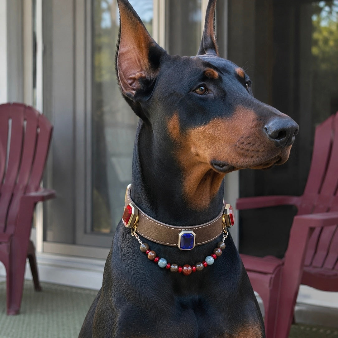Red Agate Smoky Quartz Crystal Pet Collar Necklace