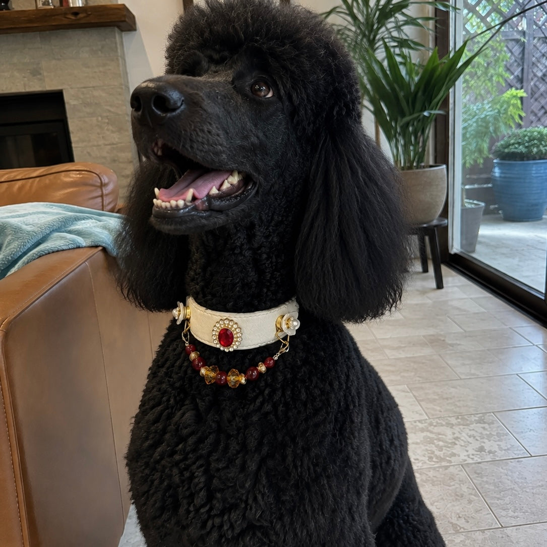 Red Carnelian Crystal Gemstone Pet Collar Necklace
