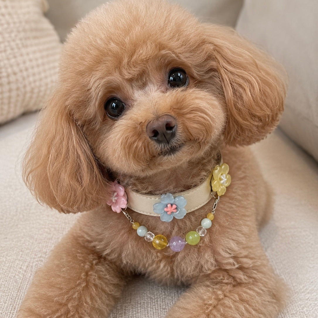 Customizable Leather Pet Collar – Collar Only S/M/L