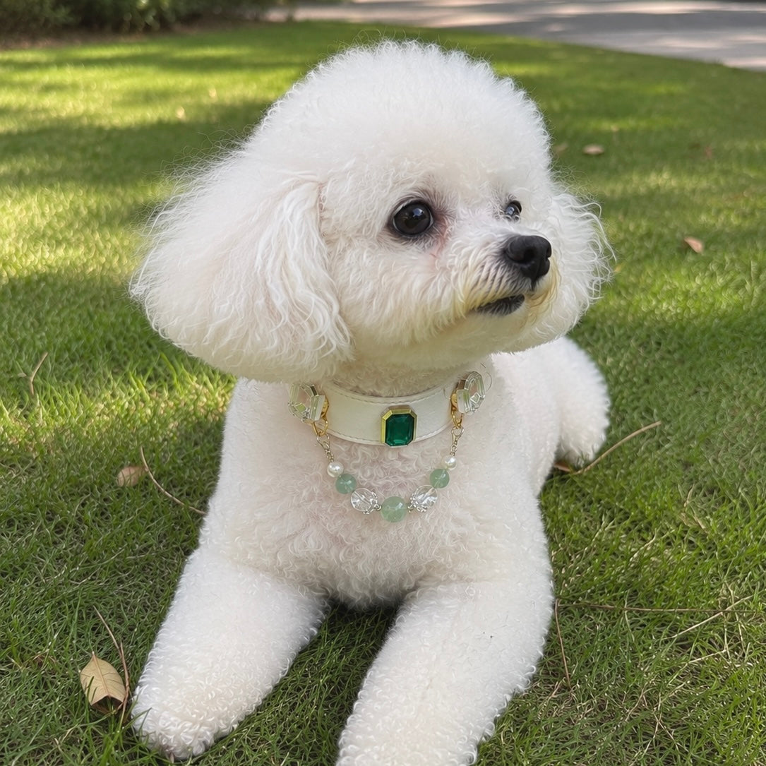 Green Fluorite Crystal Pet Collar Necklace