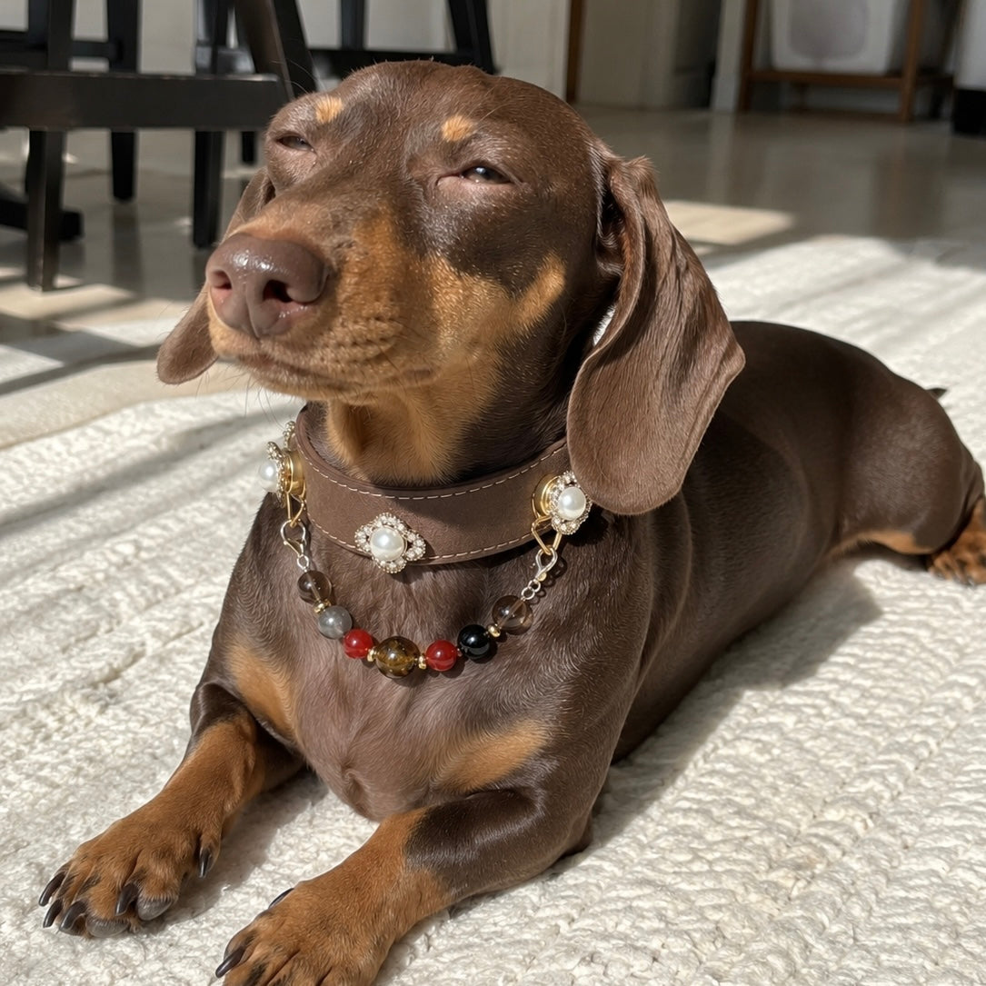 Tiger Eye Crystal Pearl Pet Collar Necklace