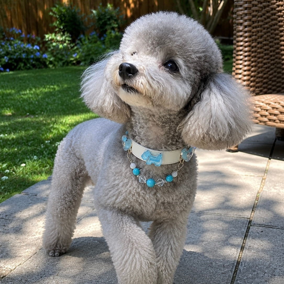 Amazonite Crystal Charm Pet Collar Necklace