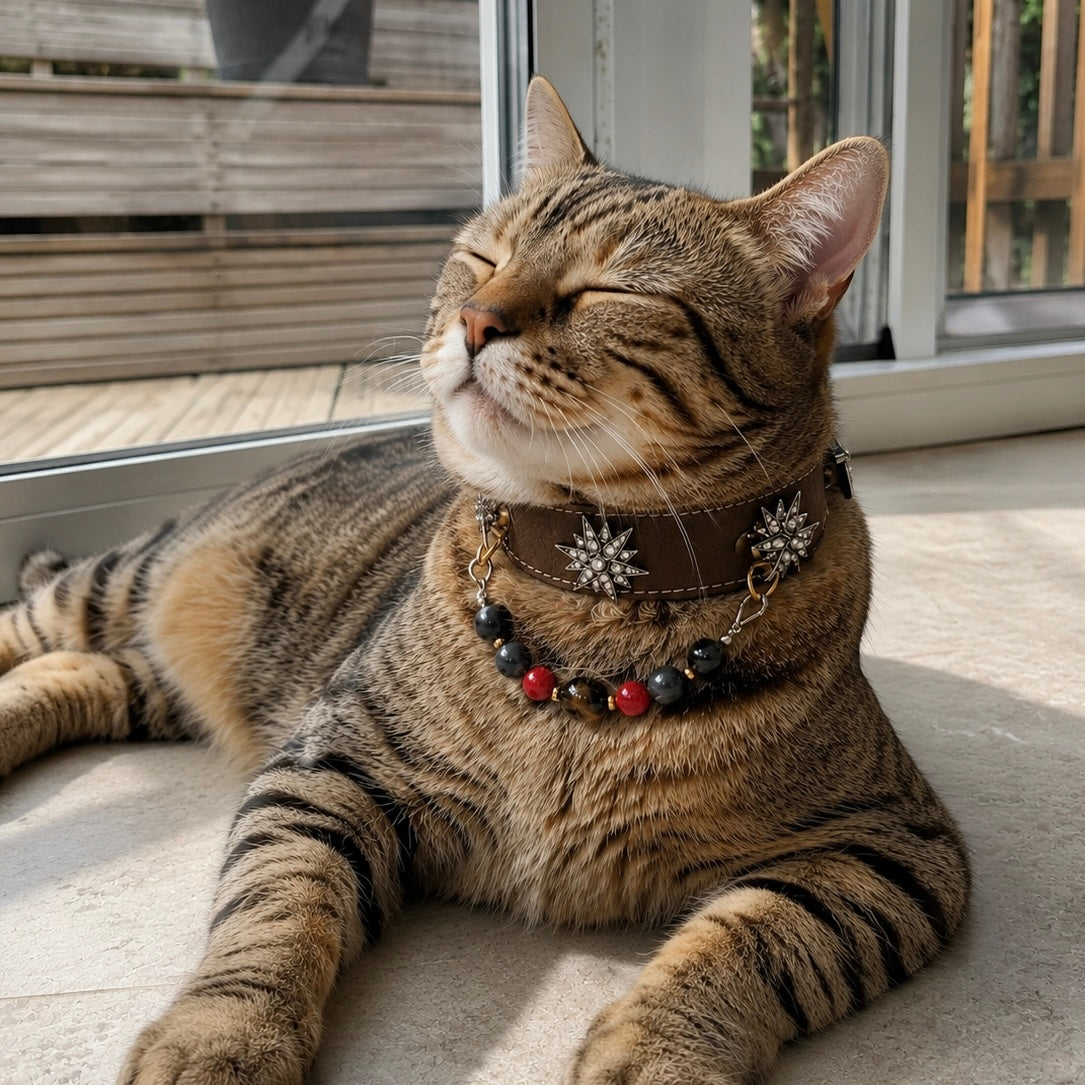 Tiger Eye Star Crystal Pet Collar Necklace