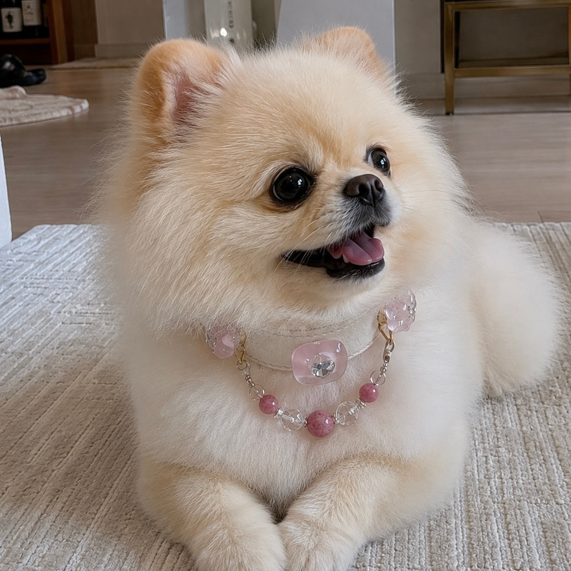 Customizable Leather Pet Collar – Collar Only S/M/L