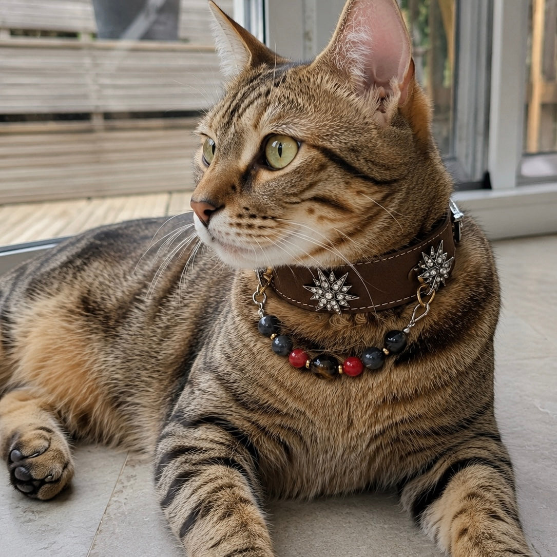 Crystal Starburst Magnetic Pet Charm