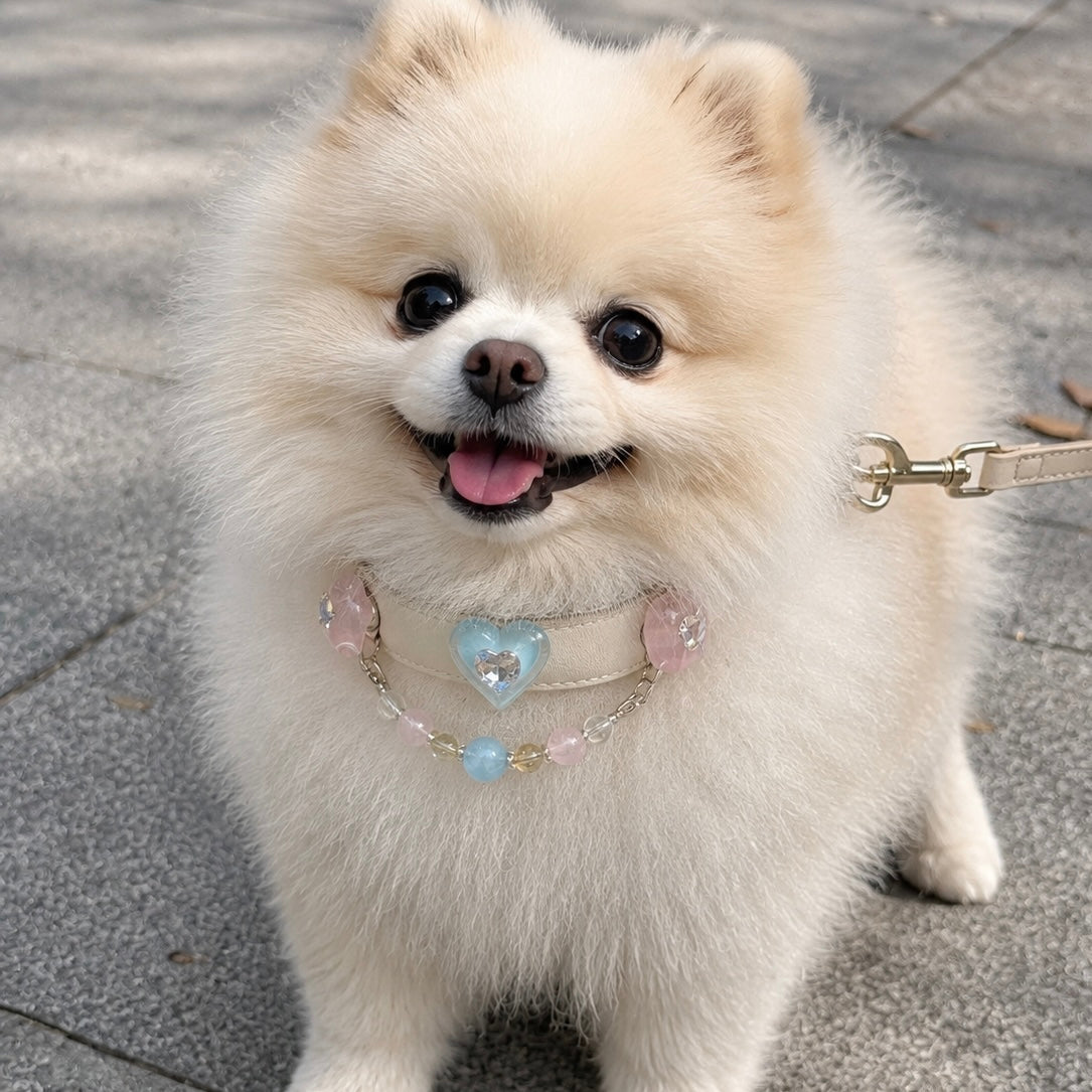 Pastel Crystal Magnetic Pet Charms